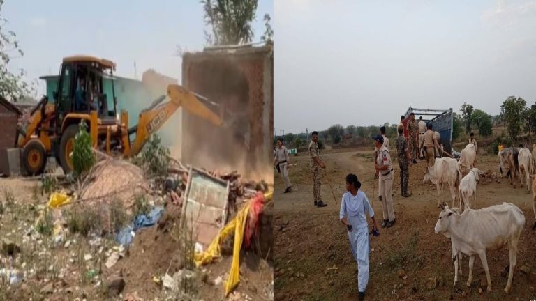 मध्य प्रदेश में गौतस्करों पर छापेमारी में मिला 150 किलो गोमाँस, जिंदा गौवंश भी छुड़ाए : प्रशासन ने की बुलडोजर कार्रवाई, ढहाए 11 अवैध घर