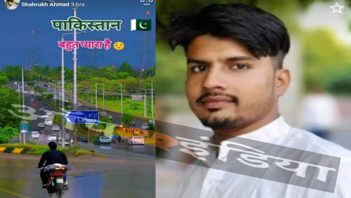 बरेली पाकिस्तान शाहरुख़
