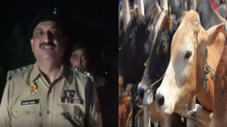 घुमंतू पशुओं की करने जा रहा था हत्या… बदायूँ पुलिस ने 25000 के इनामी गोतस्कर नजीम को मुठभेड़ के बाद पकड़ा: छुरी, कुल्हाड़ी, तमंचा बराबद
