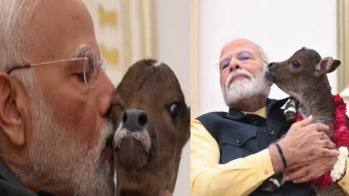 दीपज्योति को दुलराते दिखे पीएम मोदी