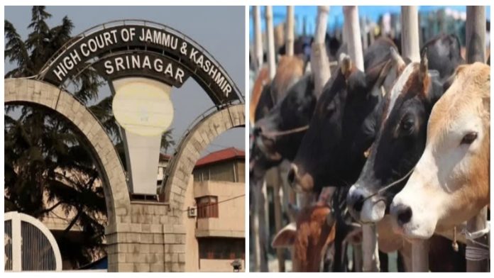 जम्मू-कश्मीर एवं लद्दाख हाई कोर्ट और गोतस्करी