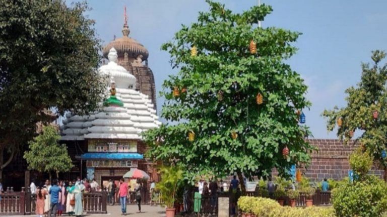 भुवनेश्वर के लिंगराज मंदिर में 3 दिनों से भगवान हैं भूखे, न लग रहा भोग-न हो रही पूजा: मकर संक्रांति के अनुष्ठान भी नहीं हुए पूरे, जानिए क्यों?