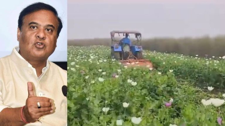 असम से लेकर म्यांमार सीमा तक अफीम की खेती की गई नष्ट, 220 बीघा में लगी थी: बोले CM सरमा- ड्रग्स के बारे में सोचने से पहले पुलिस को याद कर लेना
