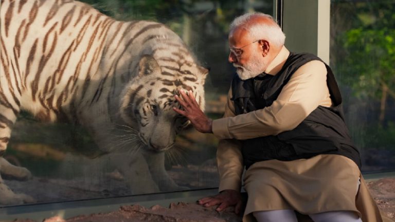 मोदी राज में वन्यजीव संरक्षण में भी मिसाल बना भारत, ‘वर्ल्ड वाइल्डलाइफ डे’ पर गिर-वनतारा में PM: जानिए कैसे बढ़ी लुप्त हो रहे बाघ-शेरों की संख्या, ‘प्रोजेक्ट चीता’ का होगा विस्तार