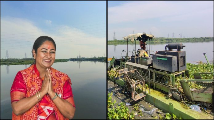 यमुना सफाई