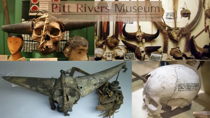 नागा कंकाल ब्रिटिश संग्रहालय