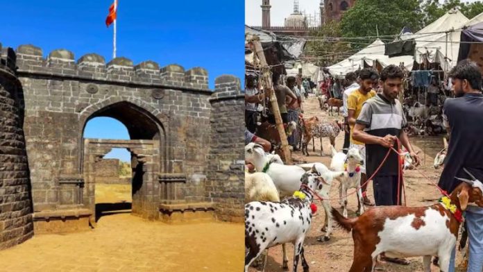 विशालगढ़ किला बकरीद कुर्बानी