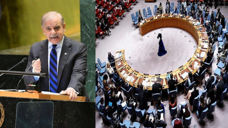 पहलगाम आतंकी हमले के लिए चूँ तक नहीं, सिर्फ कश्मीर मुद्दे पर बवाल: UNSC के सामने फिर गिड़गिड़ाया पाकिस्तान, आतंकी मुल्क कर रहा मानवाधिकारों की बात