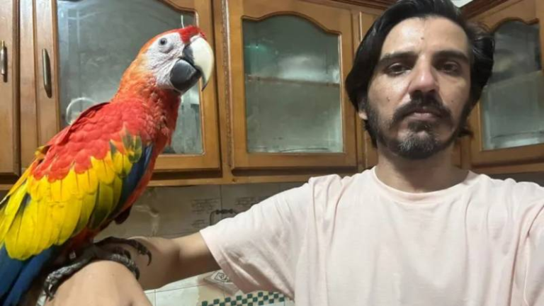 पाकिस्तान में पत्रकार पर चला सरकार का चाबुक, अमेरिका जा रहे ‘तोते वाले पत्रकार’ असद अली तूर को इस्लामाबाद एयरपोर्ट पर रोका: PNIL में डाला नाम, प्रेस फ्रीडम में सबसे नीचे है देश