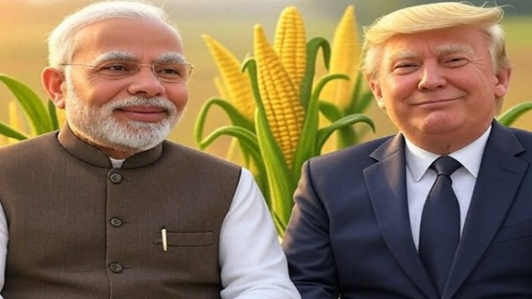 आबादी 140 करोड़, पर लेते नहीं US कॉर्न: ‘भुट्टा’ बेचने को रो रहे डोनाल्ड ट्रंप के मंत्री, जानिए क्यों अमेरिका की मनमर्जी के हिसाब से मक्का नहीं खरीदता है भारत