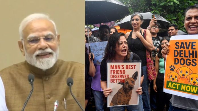 पीएम मोदी का डॉग लवर्स को संदेश- गाय जानवर नहीं, माता है