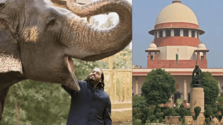 ‘कुछ चीजें देश का गर्व हैं, उन पर हंगामा ना हो’: वंतारा को सुप्रीम कोर्ट ने दी क्लीन चिट, जानें अनंत अंबानी के ‘ड्रीम प्रोजेक्ट’ की कहानी जहाँ रहते हैं 1.5 लाख जानवर