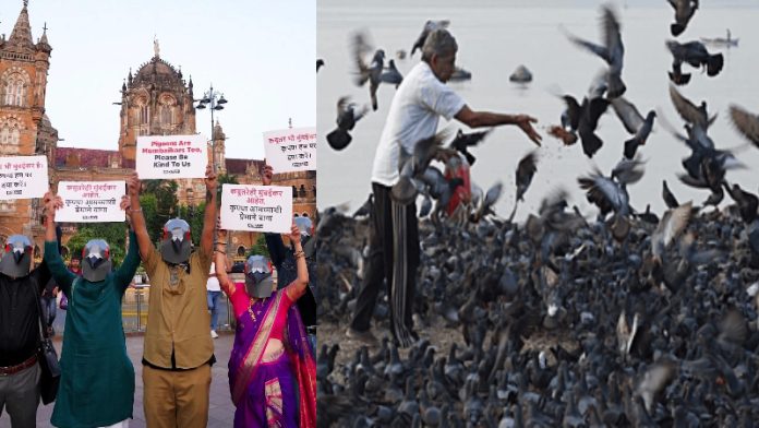 कबूतर PETA अभियान