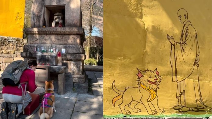 दीटिंग देवता चीन कुत्ते
