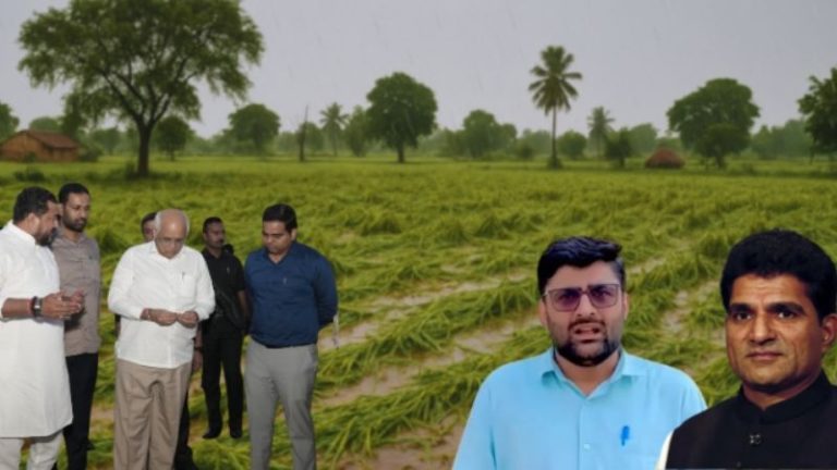 गुजरात में बेमौसम बारिश से नष्ट हुईं किसानों की फसलें, AAP ने शुरू की राजनीति: व्यापारियों की ‘ऋण माफी’ के नाम पर फैला रही झूठ: वोट के लिए ‘किसान हितैषी’ होने का ढोंग