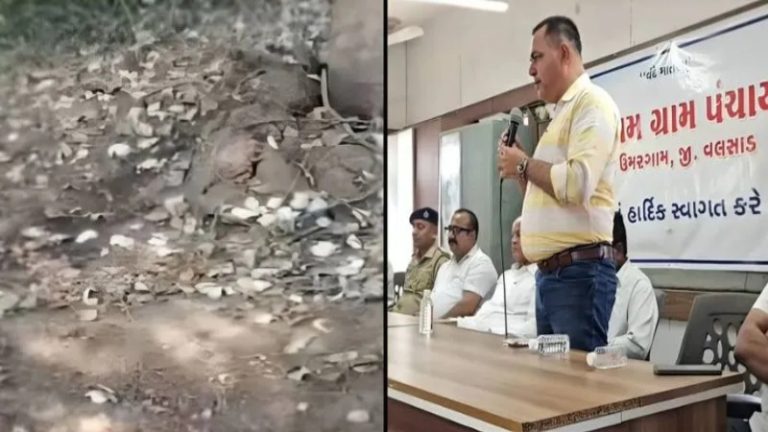 चारे का लालच देकर ले गए और काट दी गर्भवती गाय, गौ रक्षकों पर तलवार से किया हमला: सद्दाम और उसके नाबालिग साथी को गुजरात पुलिस ने पकड़ा