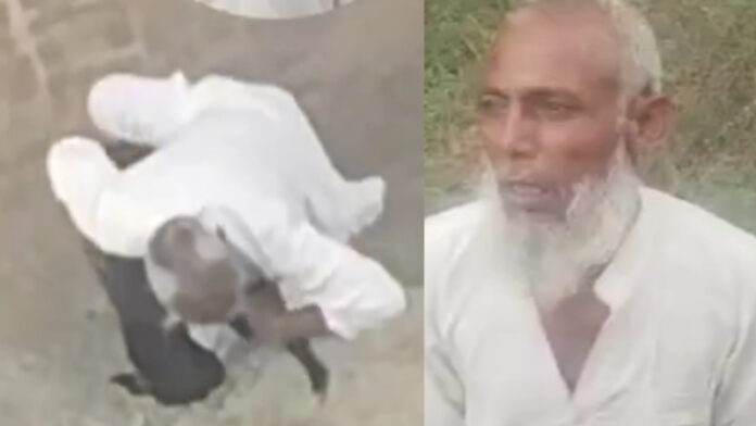 कुतिया का रेप