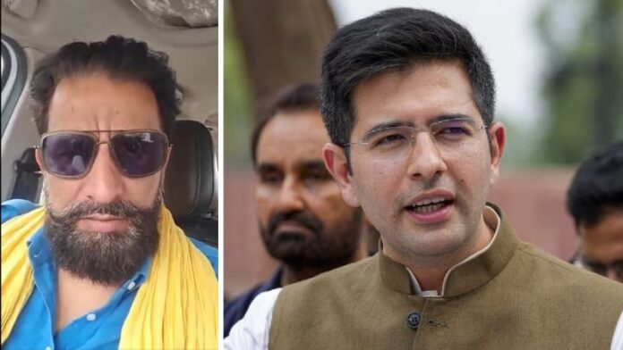 राघव चड्ढा आप अध्यक्ष